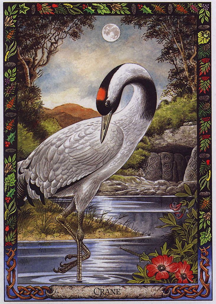 crane druid animal oracle | Order of Bards, Ovates & Druids crane druid animal oracle, Order of Bards, Ovates & Druids.