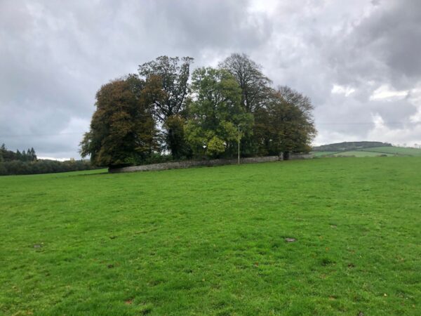 Killeen1, Order of Bards, Ovates & Druids.