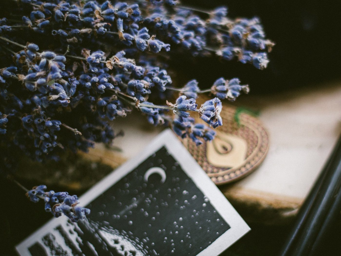 ovate herbsTarot, Order of Bards, Ovates & Druids.