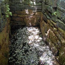 StOneneWell, Order of Bards, Ovates & Druids.