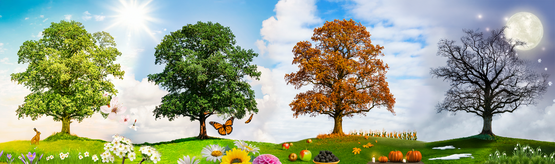 eightfoldWheel banner, Order of Bards, Ovates & Druids.