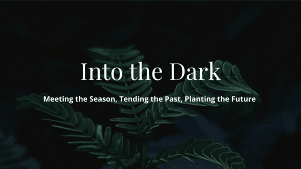 Into the Dark Webpage header 1, Order of Bards, Ovates & Druids.