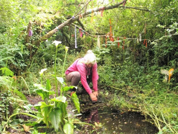 madron sacred well | Order of Bards, Ovates & Druids madron sacred well, Order of Bards, Ovates & Druids.